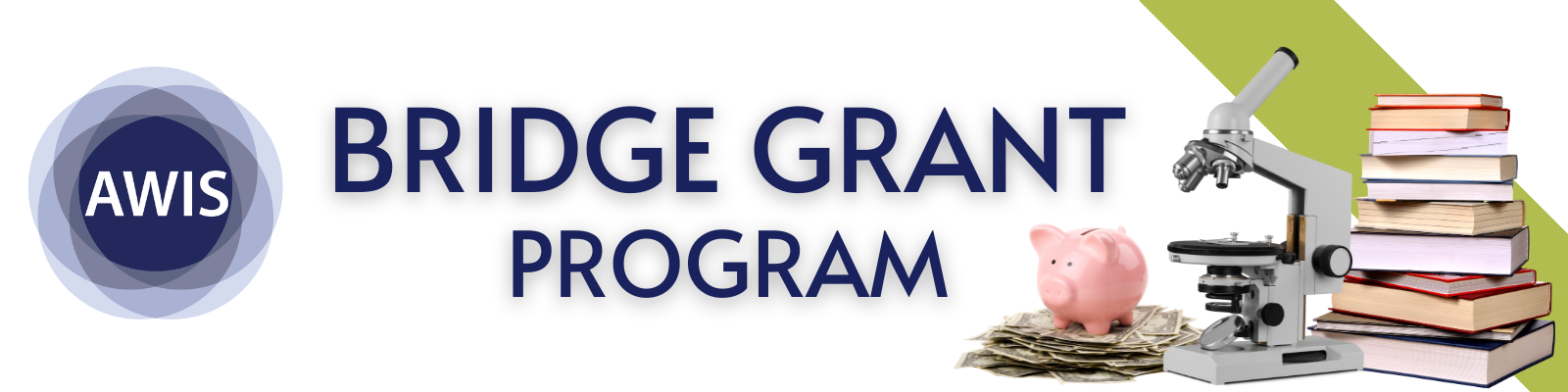 Association for Women in Science Scholarships